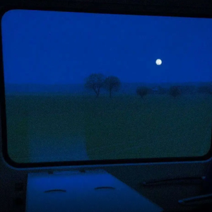 男人日女人逼视频
