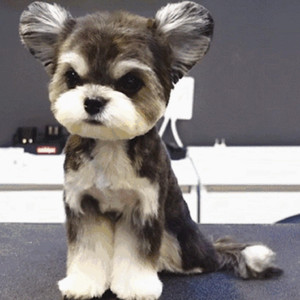 男人日女人逼视频
